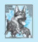 GSD-10-13QOTfin3rev10-17_2finFIN4fin