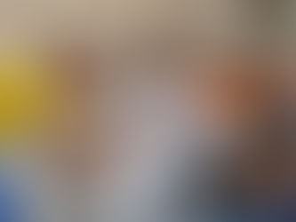 MINAS ALIMENTOS RENOVA COMISSÃO DE CIPA