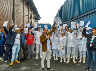 Trabalhadores do setor de congelados conquistam reajuste com aumento real nos salários