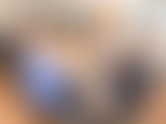 REUNIÃO DE DIRETORIA | PLANEJAMENTO FINAL PARA PARALISAÇÃO GERAL DE AMANHÃ, 28 DE ABRIL