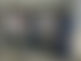 HARALD RENOVA COMISSÃO DE CIPA