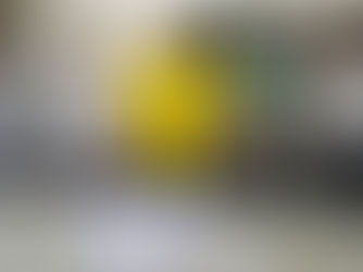 Temperart tem nova comissão de CIPA