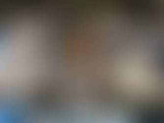 Seminário 9 anos lei Maria da Penha