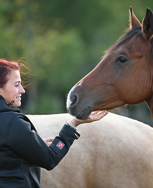 DSC_2737 (kopie)_edited.jpg