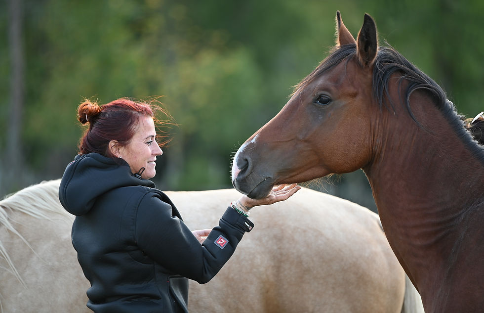 DSC_2737 (kopie)_edited.jpg