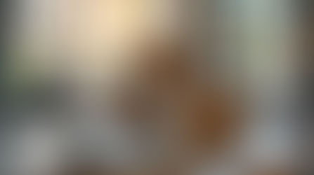 什麼是電商全托管、半托管、代操模式? 差別在哪裡?