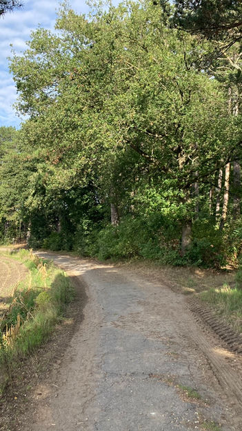 Wandelen Haacht