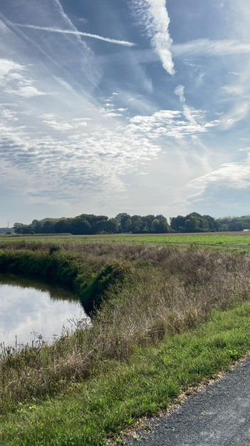 Dijledijk 