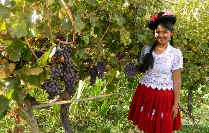 SOLAGRO