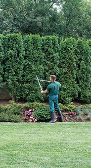 Gardener_edited.jpg