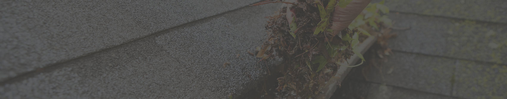 Gutter cleaning snohomish