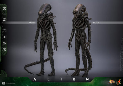 Hot Toys Alien 1/6 Big Chap (Action Figure) – undefined 8