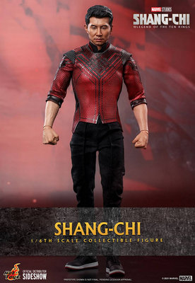 HOT TOYS Marvel Shang-Chi and the Legend of the Ten Rings Shang-Chi 1:6 AF – undefined 1