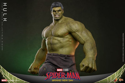 Hot Toys Marvel 1/6 Hulk (Action Figure) – undefined 8