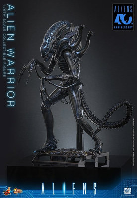 Hot Toys Alien Movie Masterpiece 1/6 Alien Warrior (Action Figure) – undefined 2