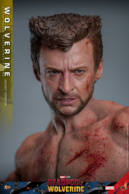Hot Toys Deadpool & Wolverine 1/6 Wolverine TVA Jacket Version (Action Figure) – undefined 7