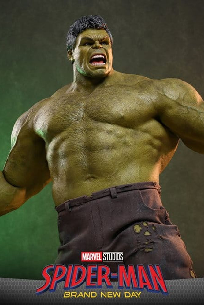 Thumbnail: Hot Toys Marvel 1/6 Hulk (Action Figure)