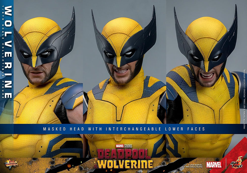 Thumbnail: Hot Toys Deadpool & Wolverine 1/6 Wolverine (Action Figure)