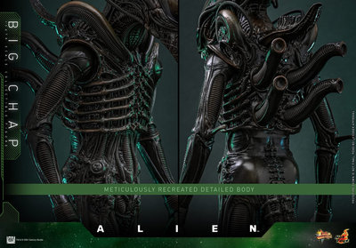 Hot Toys Alien 1/6 Big Chap (Action Figure) – undefined 5