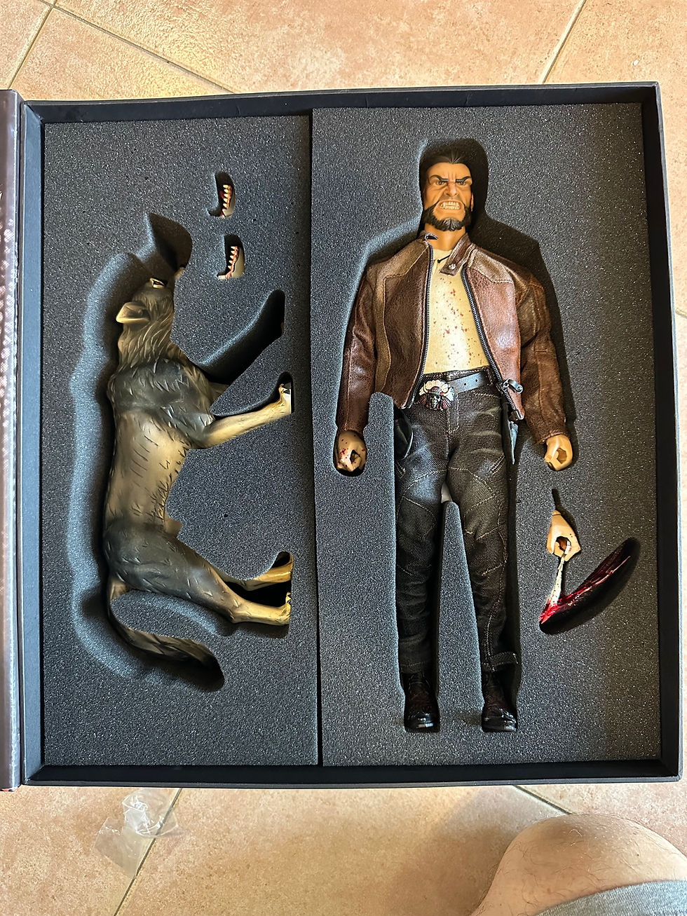Thumbnail: DAMTOYS Gangsters Kingdom Diamond 5 Ralap (Wolverine style) 1/6 (EX ESPOSTO)