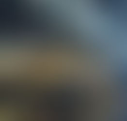 ¡Una fábrica De Acero! Curso de Combustión