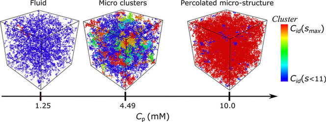 IDP microphase separation