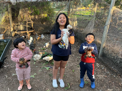 Guests enjoying our chickens