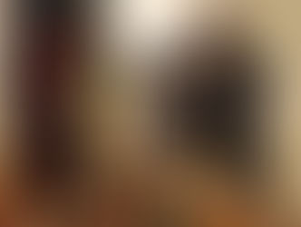 Gastronomy in the Castles of Posavje