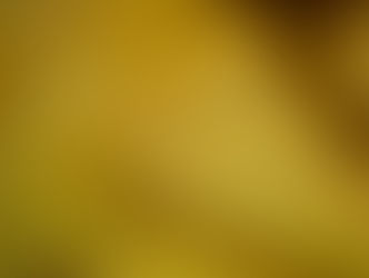 Istrian Sheep Cheese - 52nd Croatian PDO