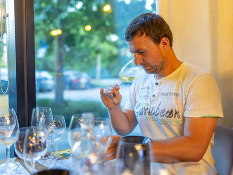 Hilly Croatia on Decanter