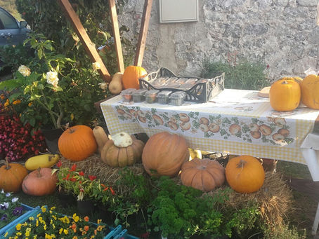 Bundevijada - Festival of Pumpkins in Vrbovsko