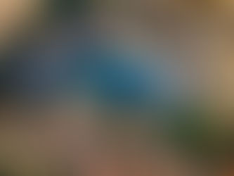 Zaštićena Imotska torta