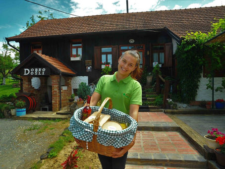 Piknika - ručak na dekici