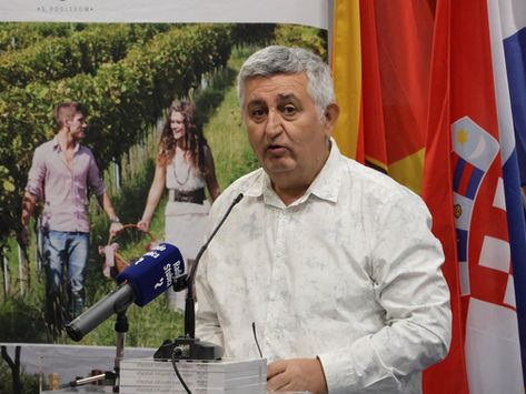 Silent heroes of Zagorje's vineyards