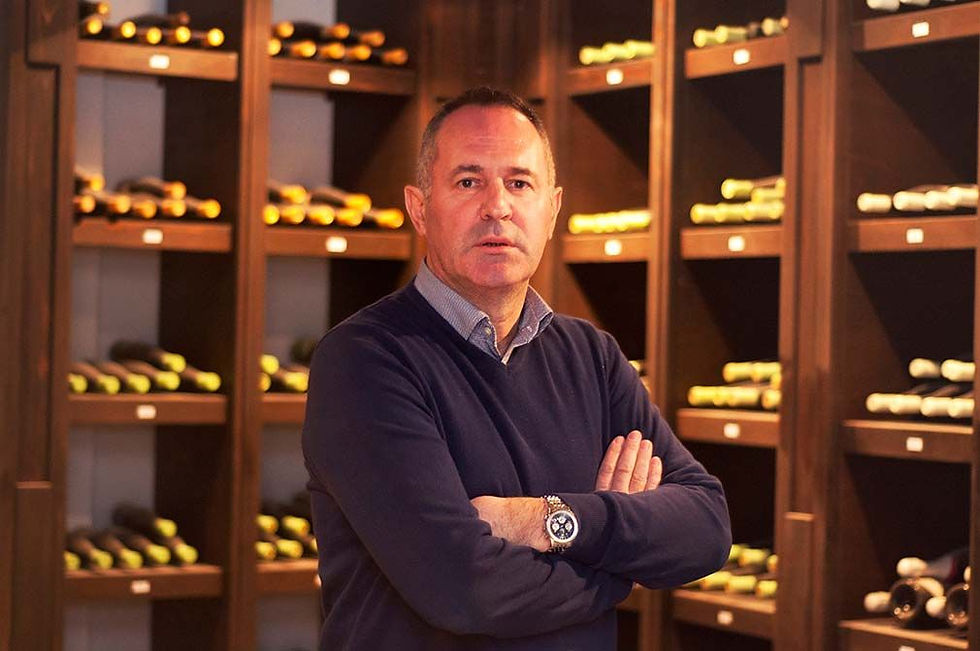 Aleksandrović - velika vinska priča Šumadije