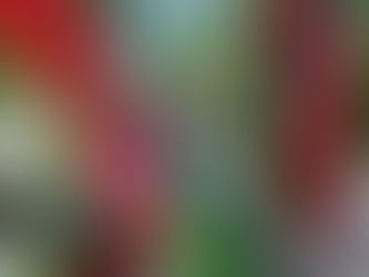 Planton - Vrt na dlanu