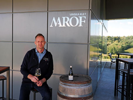 Vinarija Marof: Skriveni vinski svijet Moravskih Toplica