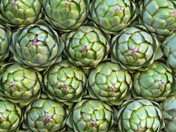 Artichoke - Flavour of Spring