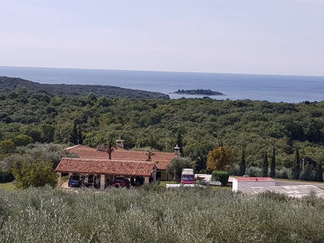 Stancija Collis - Jedinstvena vinarija u netaknutoj prirodi