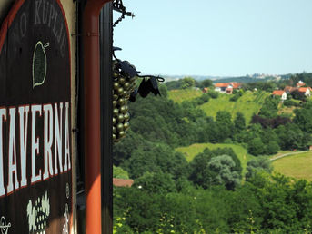 Wine Heaven of Slovenian Jerusalem