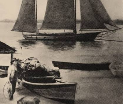 Point South Marina.png