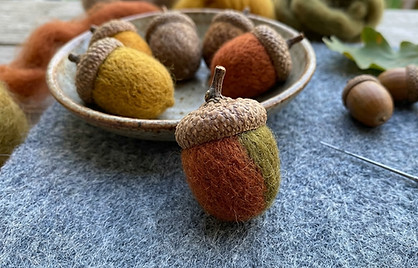 ai-acorns-wide.jpg