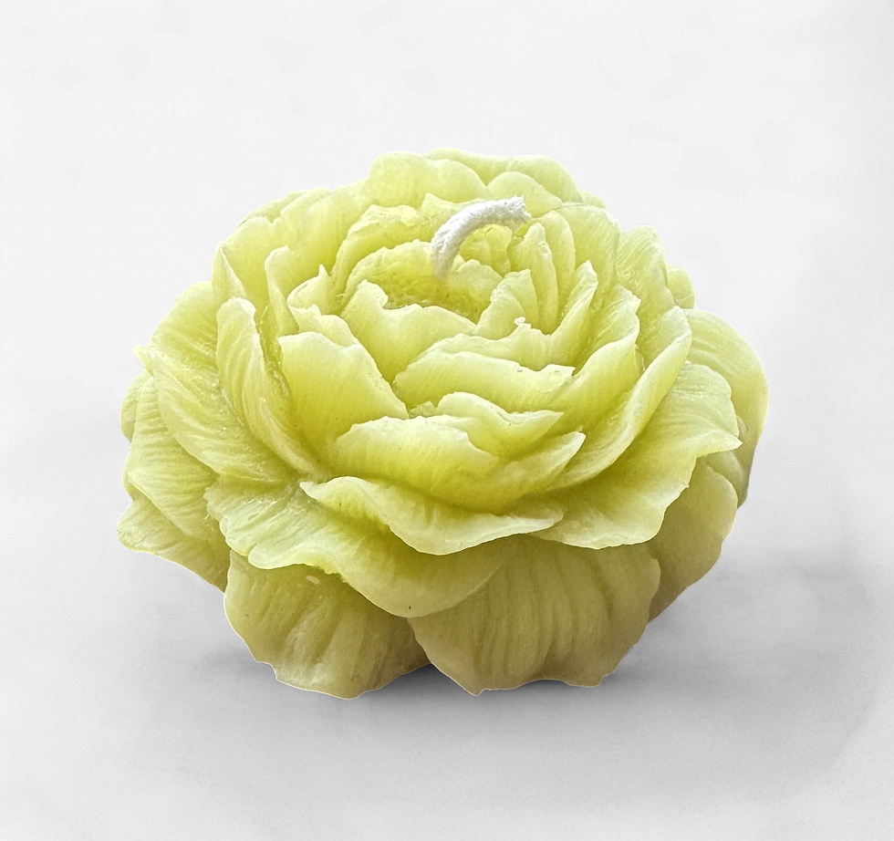 Thumbnail: Holton Homestead Peony Beeswax Candle