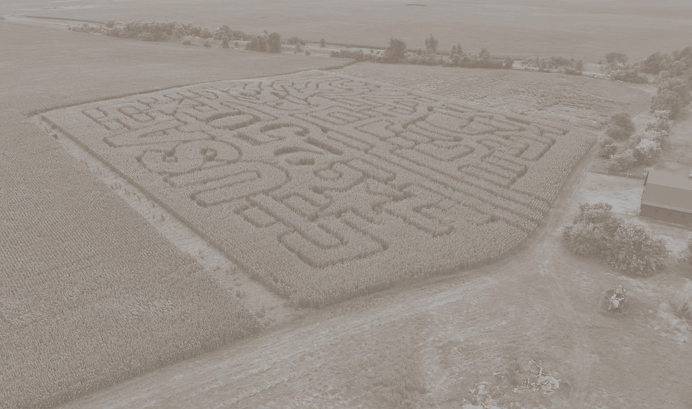 corn-maze_edited_edited_edited.jpg