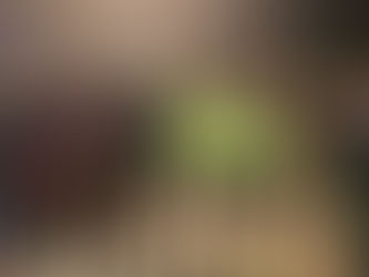 Dans le froid - 13/12/25