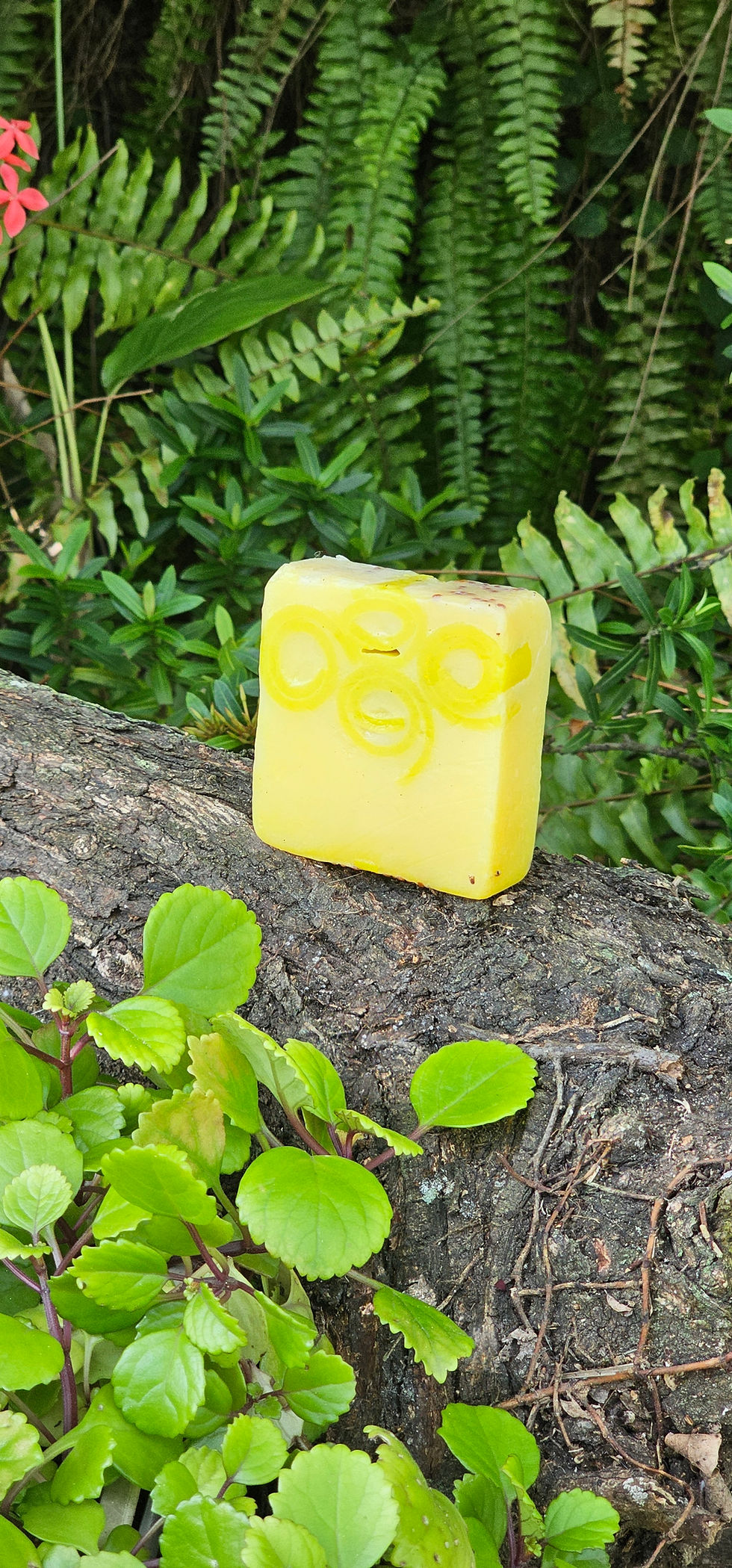 Miniatura: Sabonete Limão e mel