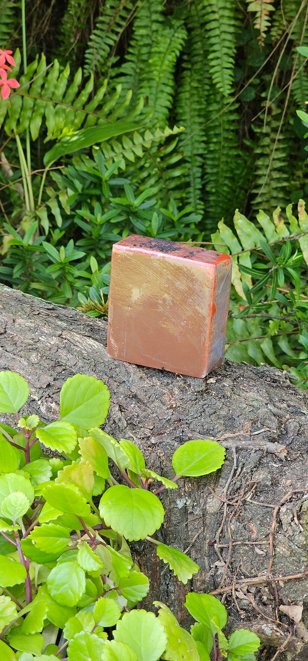 Miniatura: Sabonete Morango e Chocolate
