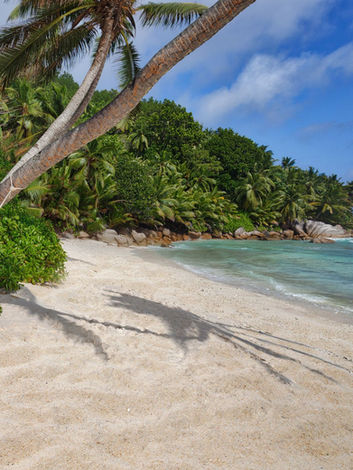 Six Senses Zil Pasyon