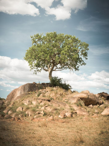 Siringit Migration Camp