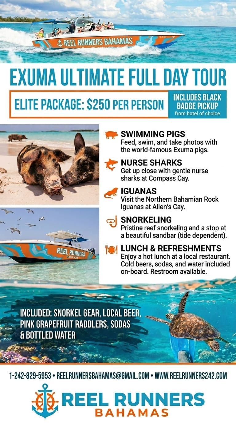 ULTIMATE DAY TOUR 8AM-3PM